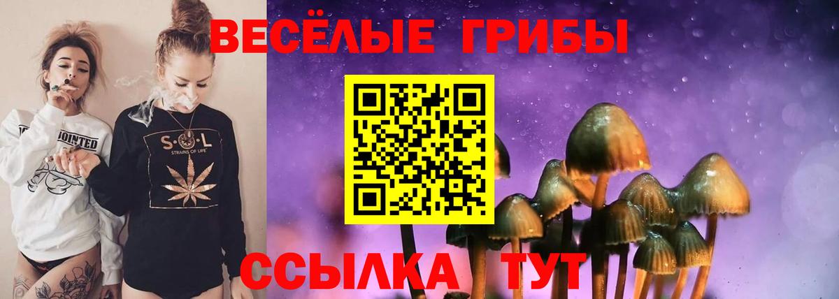 Псилоцибиновые грибы прущие грибы  Вход с VPN  Изобильный 